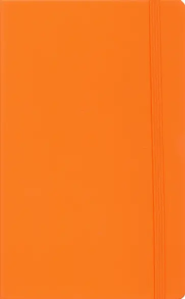 Бизнес-блокнот А5  "Silky" оранжевый (21215/06) обложка книги