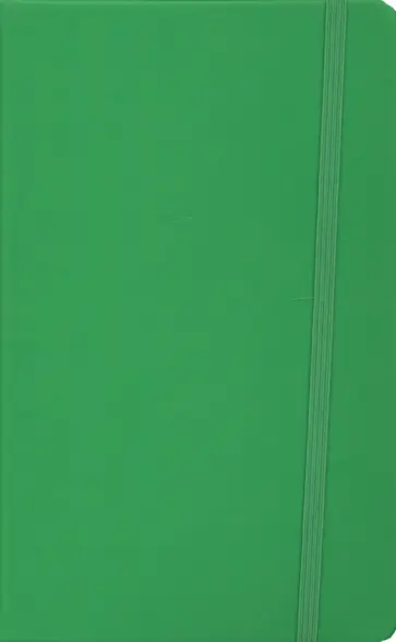 Бизнес-блокнот А5  "Silky" ярко-зеленый (21215/15) обложка книги