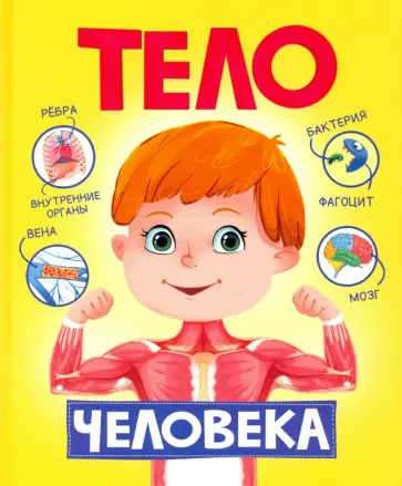 Тело человека обложка книги
