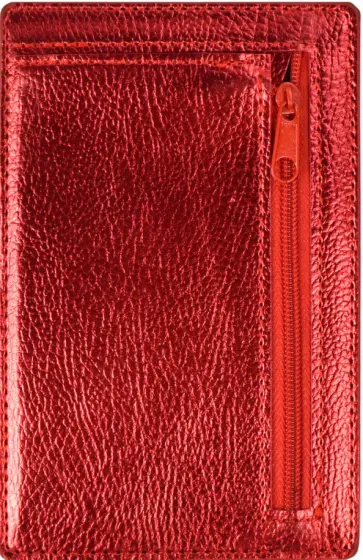 Чехол для пластиковых карт (142х92 мм) (48415) обложка книги