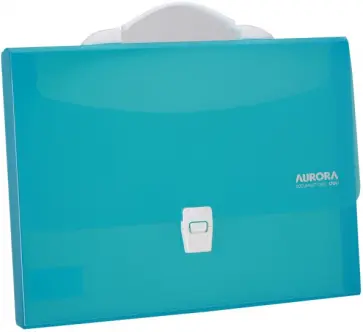 Папка-портфель пластиковая A4 1 отделение голубая (EB50432) обложка книги