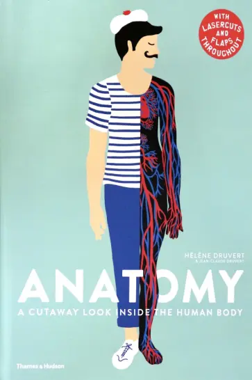 Druvert, Дрювер - Anatomy. A Cutaway Look Inside the Human Body Druvert, Дрювер - Anatomy. A Cutaway Look Inside the Human Body обложка книги