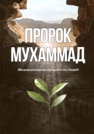 Ильдар Аляутдинов - Пророк Мухаммад. Жизнеописание лучшего из людей Ильдар Аляутдинов - Пророк Мухаммад. Жизнеописание лучшего из людей обложка книги