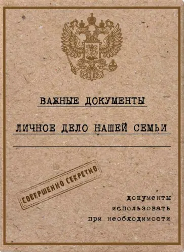 Папка-органайзер "Личное дело" А4 (84541) обложка книги