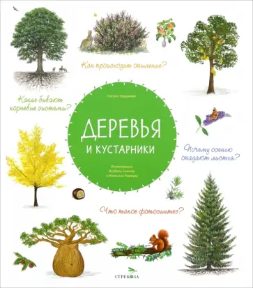 Натали Торджман - Деревья и кустарники Натали Торджман - Деревья и кустарники обложка книги