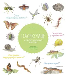 Натали Торджман - Насекомые и другие маленькие животные обложка книги
