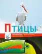 Энциклопедии с фото и видео приложениями