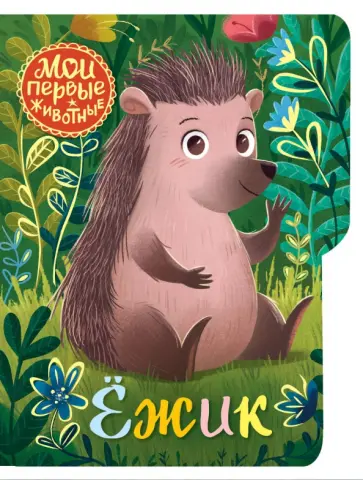 Ёжик обложка книги