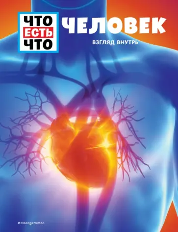 Сабрина Рахлей - Человек. Взгляд внутрь Сабрина Рахлей - Человек. Взгляд внутрь обложка книги