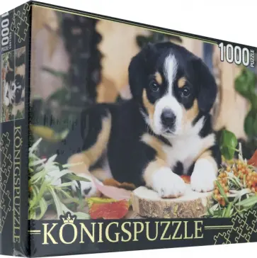 Puzzle-1000 "Щенок швейцарского зенненхунда" (ШТK1000-0645) обложка книги