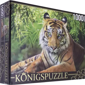 Puzzle-1000 "Благородный тигр" (ГИK1000-0649) обложка книги