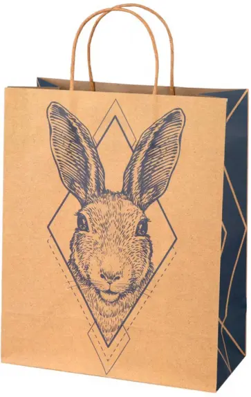 Пакет из крафт-бумаги 26х32.4х12.7 Зайчик (81214) обложка книги