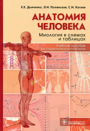 Дьяченко, Полянская - Анатомия человека. Миология в схемах и таблицах. Учебное пособие обложка книги