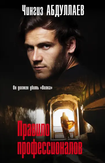 Чингиз Абдуллаев - Правило профессионалов обложка книги