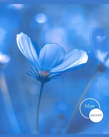 Тетрадь Нежные цветы, А5, 48 листов, в ассортименте обложка книги