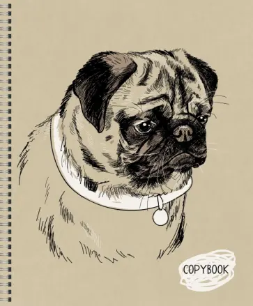 Тетрадь общая "Sketch dog" (48 листов, А5, клетка, гребень, в ассортименте) (ТС2Л487258) обложка книги