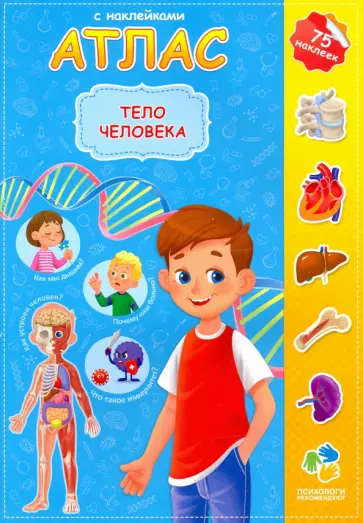 Н. Зленко - Атлас. Тело человека Н. Зленко - Атлас. Тело человека обложка книги