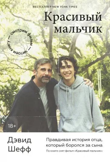 Дэвид Шефф - Красивый мальчик. Правдивая история отца, который боролся за сына обложка книги