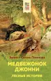 Миниатюра 1