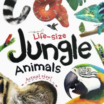 Life-size: Jungle Animals Life-size: Jungle Animals обложка книги