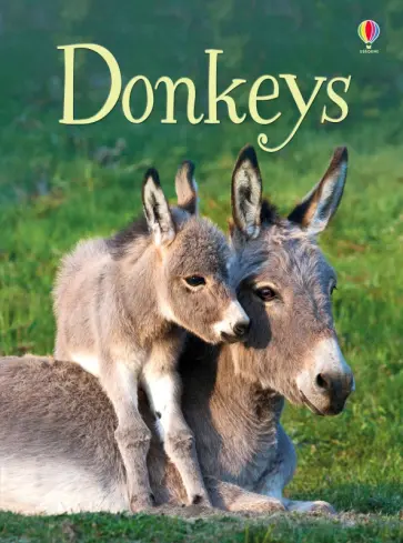 James Maclaine - Donkeys James Maclaine - Donkeys обложка книги