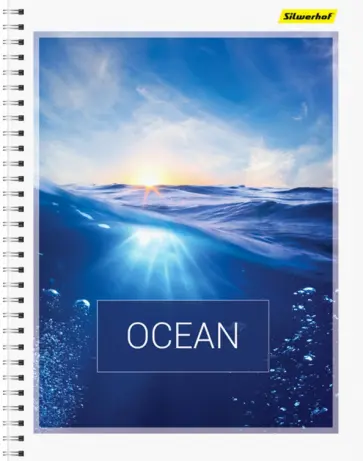 Тетрадь 80 листов, А4, гребень (810026-74) обложка книги