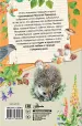 Миниатюра 2