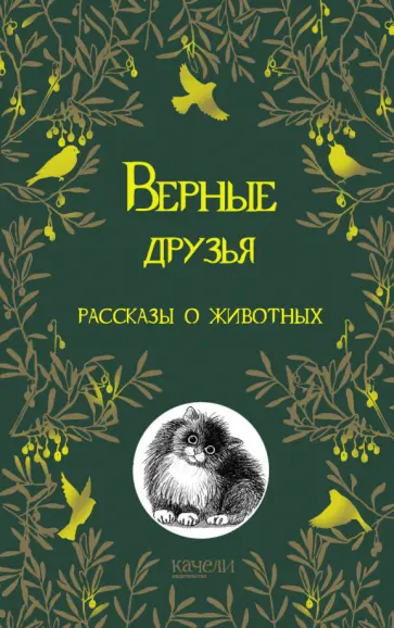 Класс Птицы. Анатомия, морфология и ароморфозы - Умскул Учебник