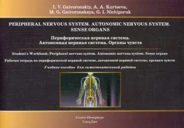 Гайворонский, Курцева - Периферическая нервная система. Автономная нервная система. Органы чувств. Рабочая тетрадь Гайворонский, Курцева - Периферическая нервная система. Автономная нервная система. Органы чувств. Рабочая тетрадь обложка книги