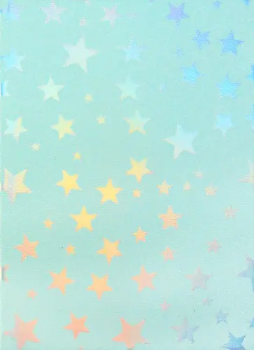 Ежедневник недатированный 128 листов, А5, ЗВЕЗДЫ, зеленый (128-1580) обложка книги