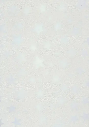 Ежедневник недатированный 128 листов, А5, ЗВЕЗДЫ бежевый (128-1581) обложка книги