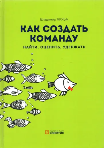 Владимир Якуба - Как создать команду. Найти, оценить, удержать Владимир Якуба - Как создать команду. Найти, оценить, удержать обложка книги