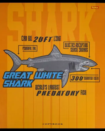 Тетрадь общая (48 листов, А5, клетка), Королевские акулы, в ассортименте (48-5809) обложка книги