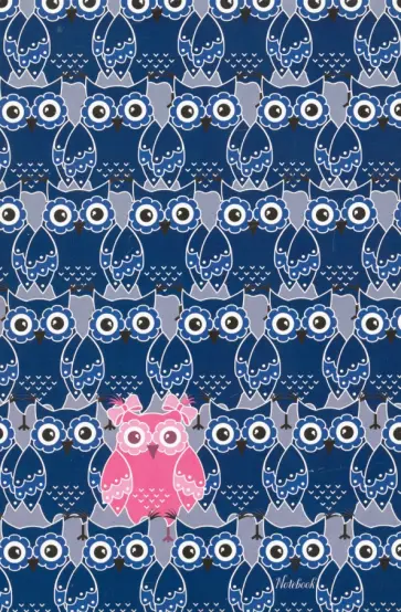 Блокнот на склейке "Сова и филины", А5, 40 листов, клетка (БСК54003) обложка книги