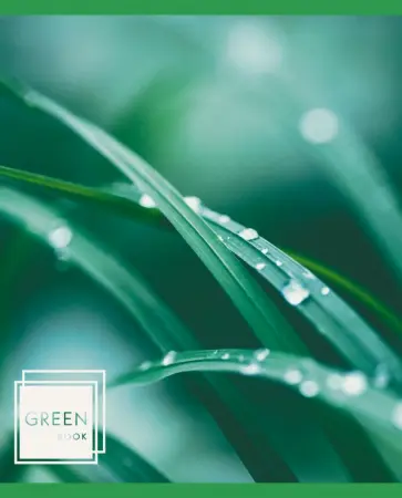 Тетрадь Листья в росе, А5, 48 листов, линия, в ассортименте обложка книги