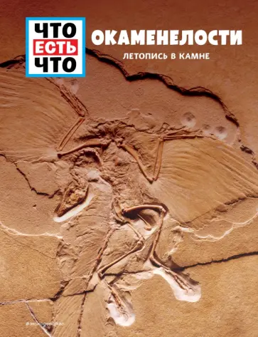 Манфред Баур - Окаменелости. Летопись в камне Манфред Баур - Окаменелости. Летопись в камне обложка книги