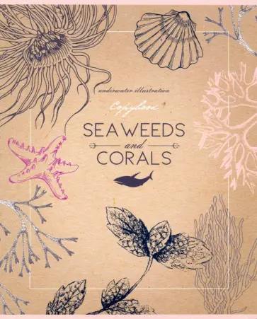 Тетрадь 48 листов, КОРАЛЛОВЫЙ РИФ (48-1188) обложка книги