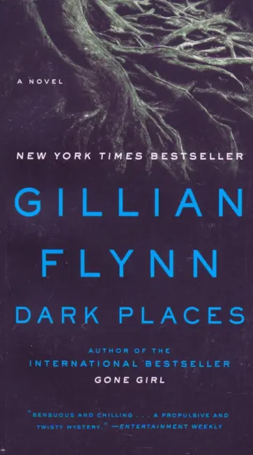 Gillian Flynn - Dark Places Gillian Flynn - Dark Places обложка книги