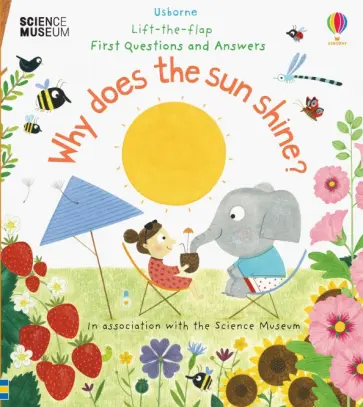 Katie Daynes - Why Does the Sun Shine? обложка книги