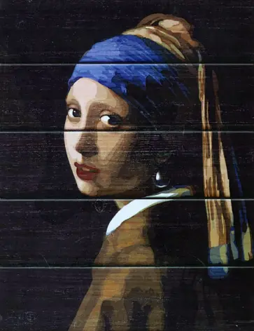 Арт по дереву Девушка с жемчужной сережкой (WS056) обложка книги