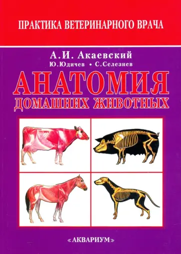 Акаевский, Юдичев - Анатомия домашних животных Акаевский, Юдичев - Анатомия домашних животных обложка книги