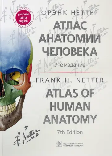 Фрэнк Неттер - Атлас анатомии человека. Терминология на русском, латинском и английском языках обложка книги