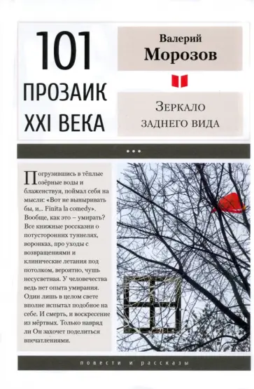 Валерий Морозов - Зеркало заднего вида Валерий Морозов - Зеркало заднего вида обложка книги