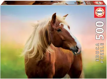 Пазл-500 Лошадь на рассвете (19000) обложка книги