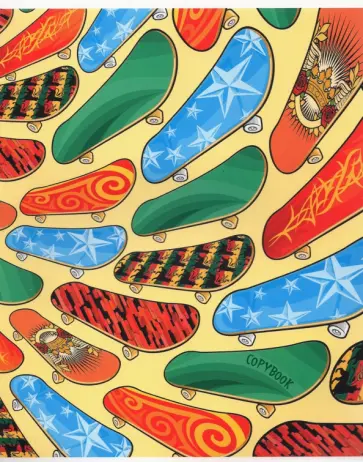 Тетрадь "Скейты", А5, 48 листов, линейка (С2549-71) обложка книги