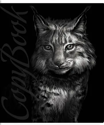 Тетрадь "Хищники", А5, 96 листов, клетка, в ассортименте (56691) обложка книги