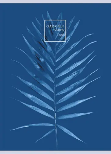 Тетрадь 48 листов, А4, Radiance. Дизайн 2 (ТГ4484759) обложка книги