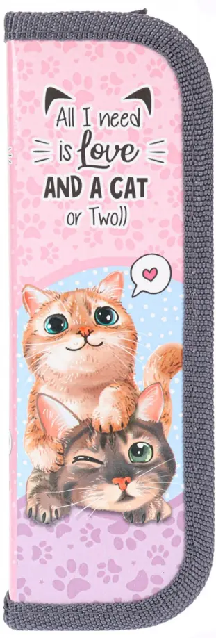 Пенал "Котята", одно отделение (ПН-1107) обложка книги