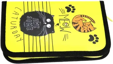 Пенал 1 отделение с откидной планкой ДЕНЬ КОТИКОВ (ПН-1104) обложка книги