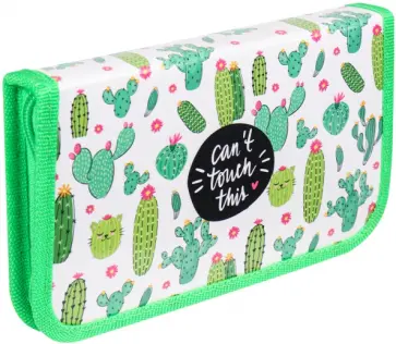 Пенал "Кактусы и котики", одно отделение, ламинированный картон (ПН-0828) обложка книги